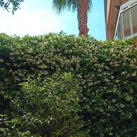 Avec Jardin Roquebrune-Cap-Martin
